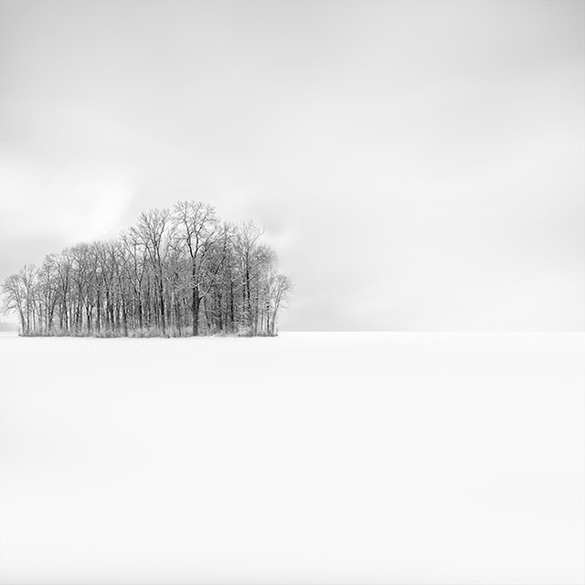 Vassilis Tangoulis:白色寂静