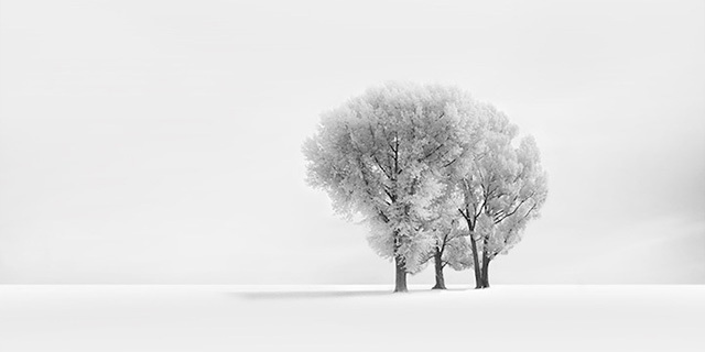 Vassilis Tangoulis:白色寂静