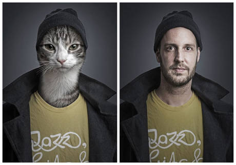 宠物猫与主人照片合成