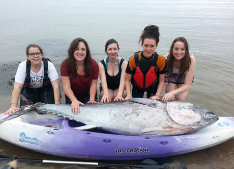 大学生捡到巨型蓝鳍金枪鱼