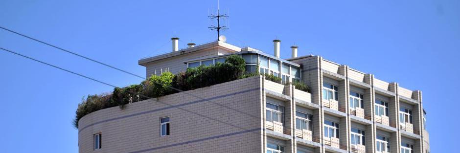 北京一大厦楼顶建“空中花园”