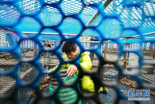2014年阳澄湖大闸蟹开捕