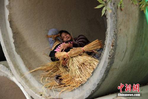 妻双十一败家 男子抱稻草人夜宿涵洞