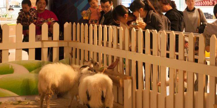 广西多家商场在大厅圈养动物招揽顾客