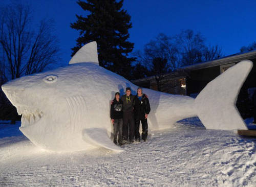 美三兄弟花300小时建巨龟雪人