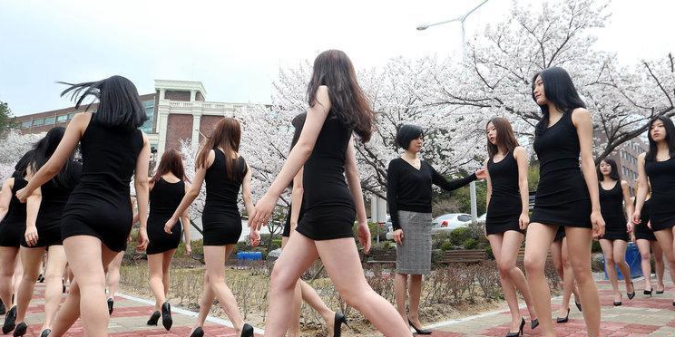 韩国女生樱花下走秀 鲜花美腿相映成趣