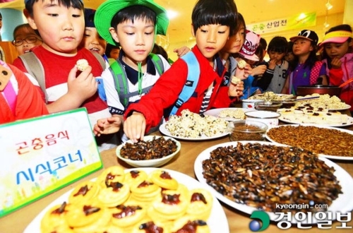 韩国展出重口味“昆虫曲奇”