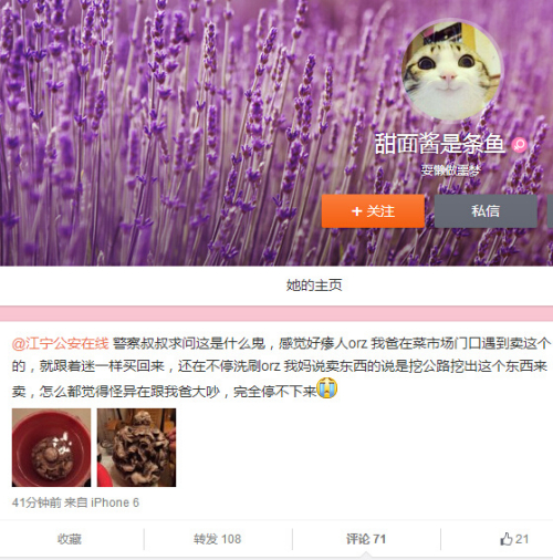 “你爸买的是街头古董诈骗爆款”