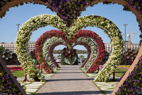 迪拜办世界最大花卉展
