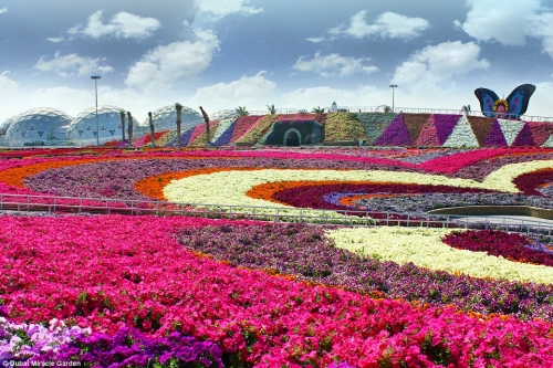 迪拜办世界最大花卉展