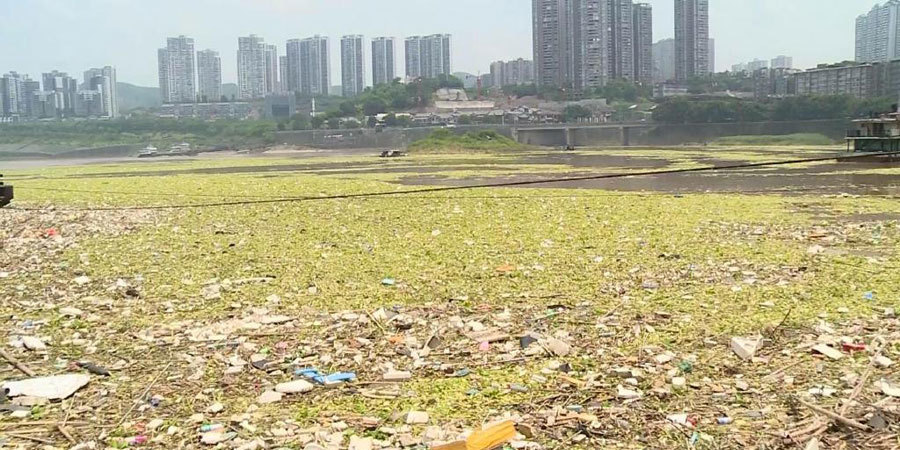 长江重庆段现近万平方米漂浮垃圾带 长江重庆段现近万平方米漂浮垃圾带