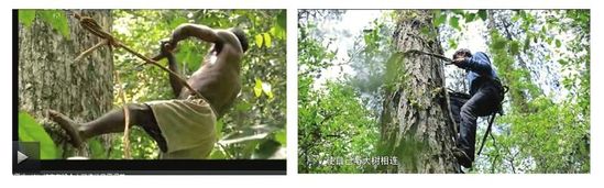 《舌尖2》被曝镜头造假 《舌尖2》被曝镜头造假