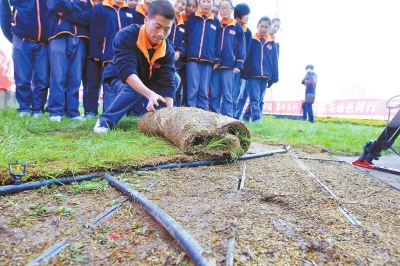 铺设无土草坪