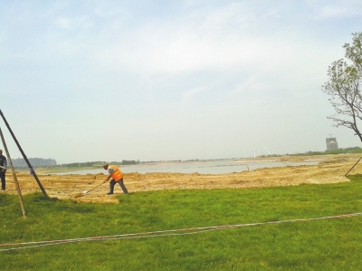 绿化区内,工人们正在铺设一块块草皮。