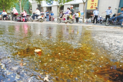 郑州街头现几十米长油污带 市民路过频摔倒