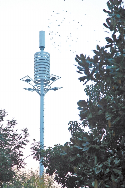 建在红线内的4G信号发射塔