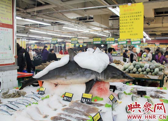 郑州市一家超市海鲜区的冰架上赫然摆着一整条鲨鱼在出售，鲨鱼肉价格为23.80元每斤，远低于牛羊肉的价