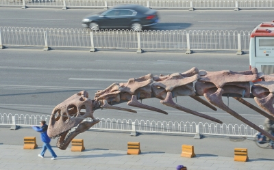 “巨型汝阳龙”复原骨架是迄今全球复原的最大的恐龙骨架