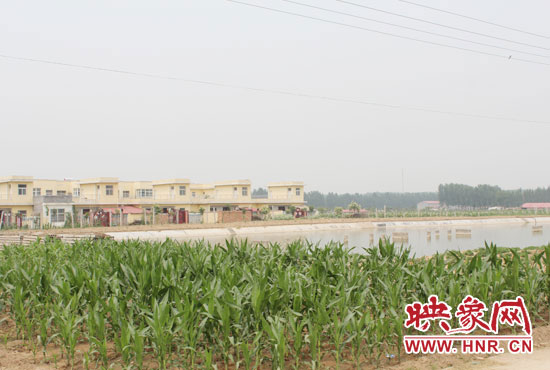 今年65岁的吕德伟,在搬迁之前就已先行到中牟县实地考察过,看到提前两年搬迁的大女儿家搞鱼塘赚了钱。 今年65岁的吕德伟,在搬迁之前就已先行到中牟县实地考察过,看到提前两年搬迁的大女儿家搞鱼塘赚了钱。