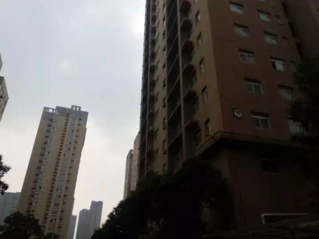 W020170727368368666694.jpg