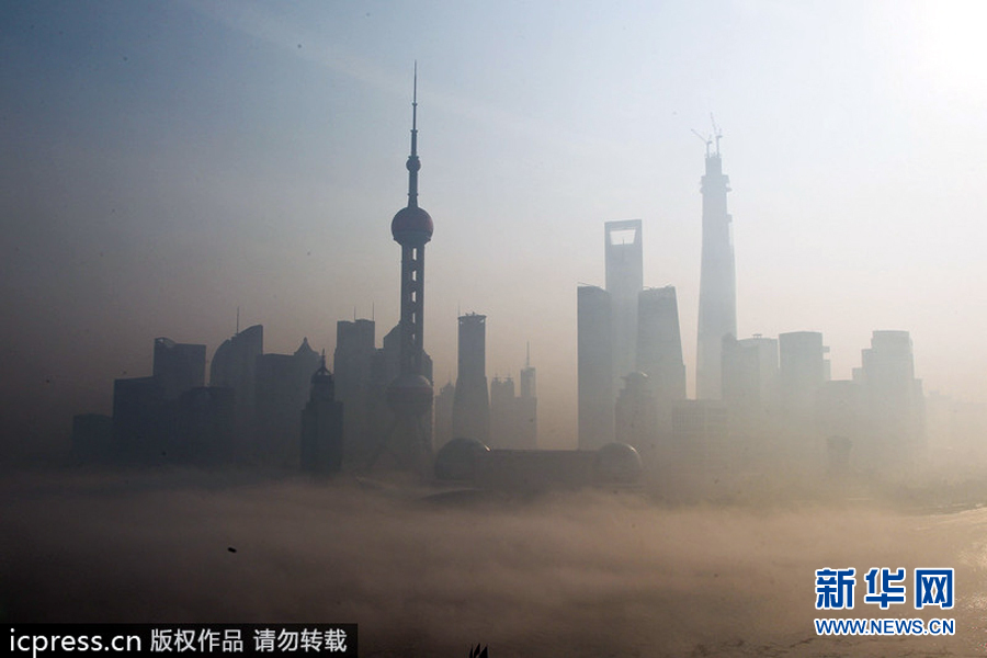 2013年12月5日，今晨上海多个区县被大雾所笼罩