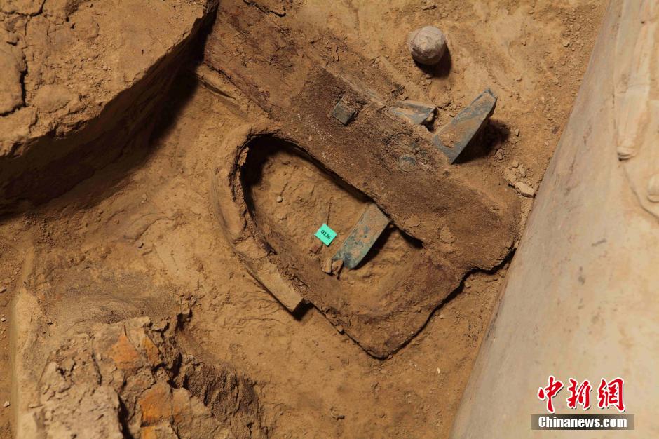 图为发掘现场。秦始皇帝陵博物院 供图