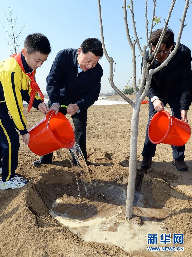 这是习近平同大家一起给刚栽下的树苗浇水。