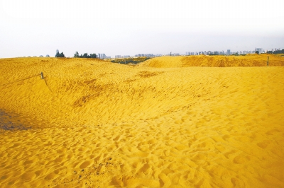 郑州龙湖边现人造沙漠 风起扬沙坑苦附近居民
