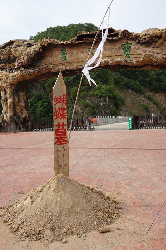 河南景区扎死蝴蝶引争议 同名景区遭打砸