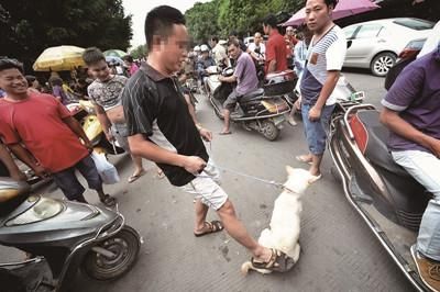 有人购买，一名没有谈好价钱的狗贩试图通过踢打狗博得高价