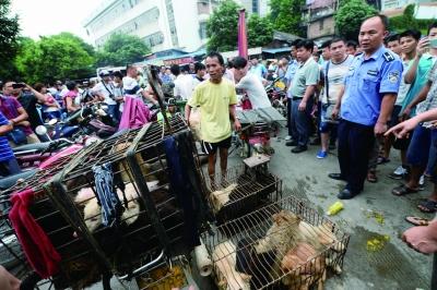 今天是广西玉林狗肉节，市场上的摊贩增加了数倍，城管也出动对市场上的占道行为进行规范 记者 刘畅 摄