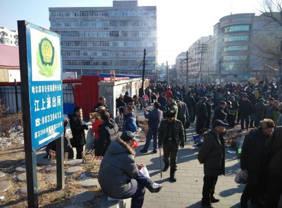 贩卖野生鸟的鸟市毗邻着当地派出所。