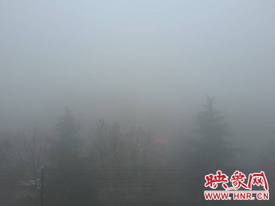 漯河地区的大雾