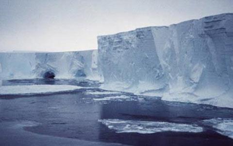 南极冰架加速缩小 全球海平面或大幅上升