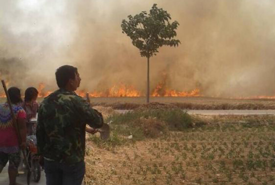 2015年6月9日安阳滑县四间房乡三个村庄麦子被烧。