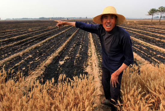 河南省滑县、内黄县麦田着火，麦垄套种的花生、玉米苗也被烤焦，群众损失惨重