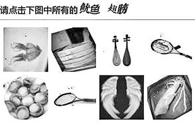 请恶补鱿鱼和章鱼的区别