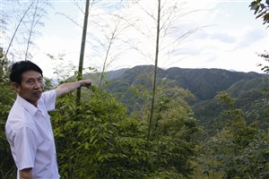 村民吴学田告诉记者，对面两座山就是潘建友承包的部分山场 见习记者 邱一文 摄