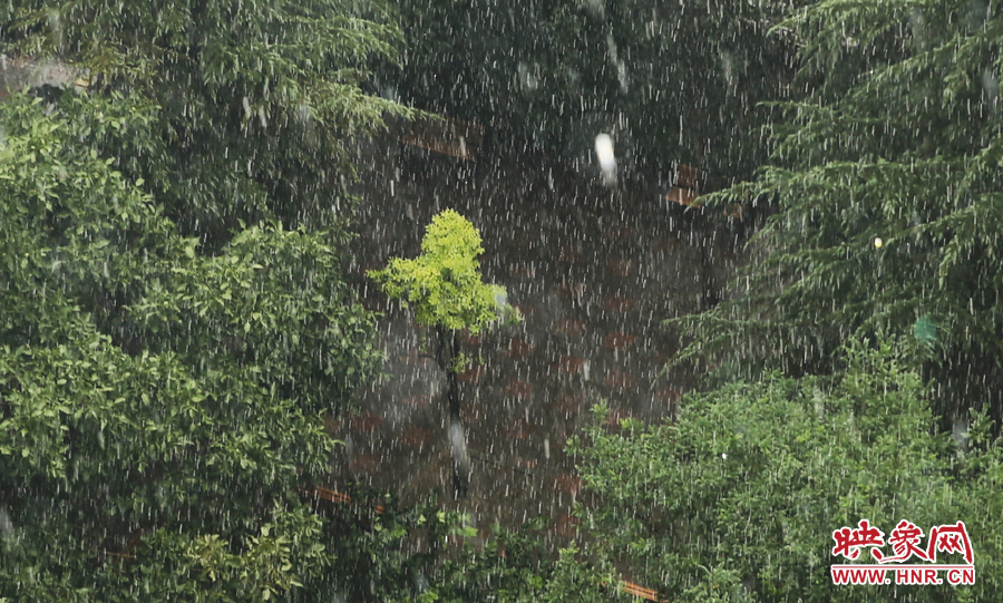 17时32分,郑州强降雨,紫荆山附近的市民真切地感受到了什么叫大雨倾盆。