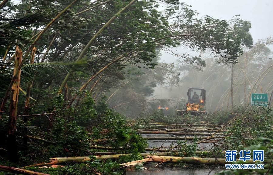 超强台风“威马逊”登陆海南 最大风力17级