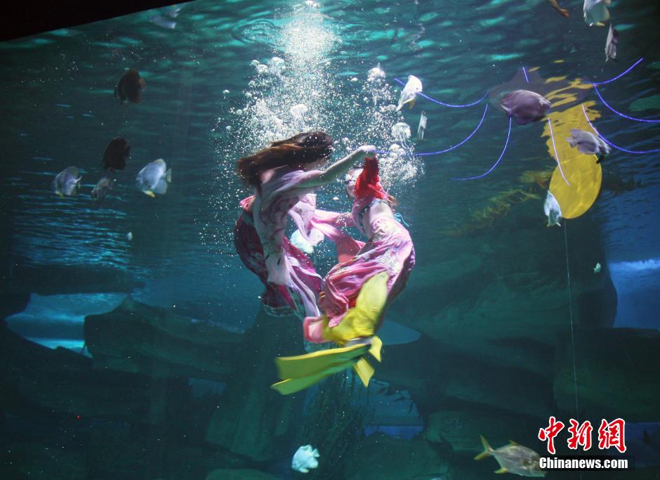 9月7日，在中秋节到来前一天，山东泉城海洋极地世界为游客带来“嫦娥水中奔月”表演。
