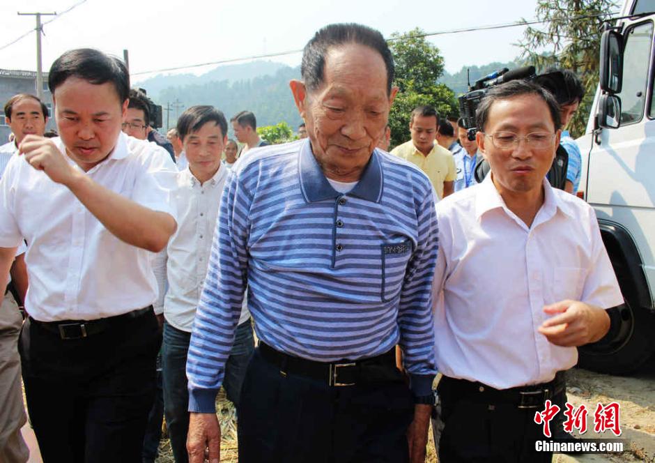 中国超级稻四期亩产突破1000公斤 再创世界纪录