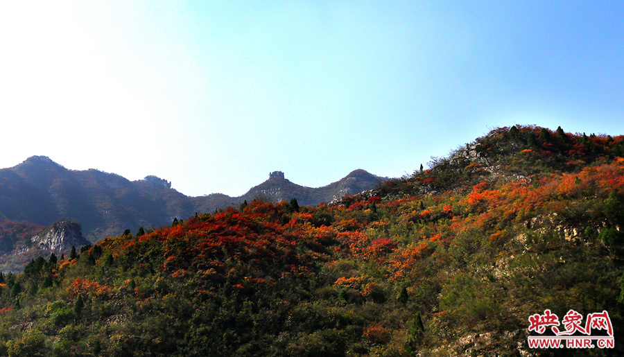 山顶秋叶的一抹红叶萦绕山间