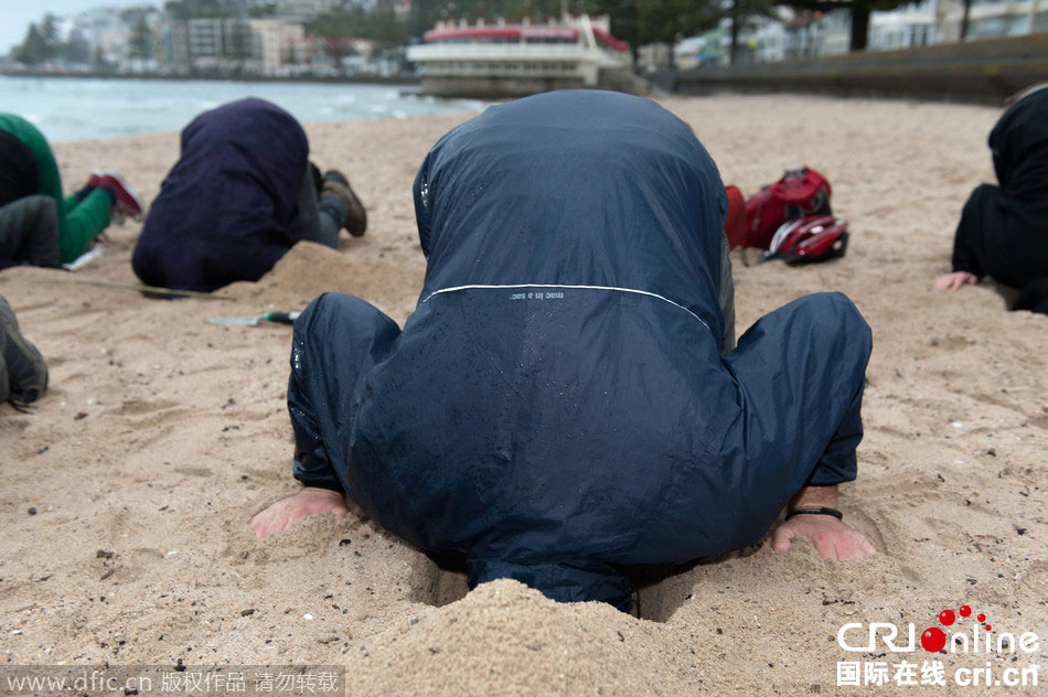 新西兰民众将头埋入沙子 抗议政府坐视气候变暖