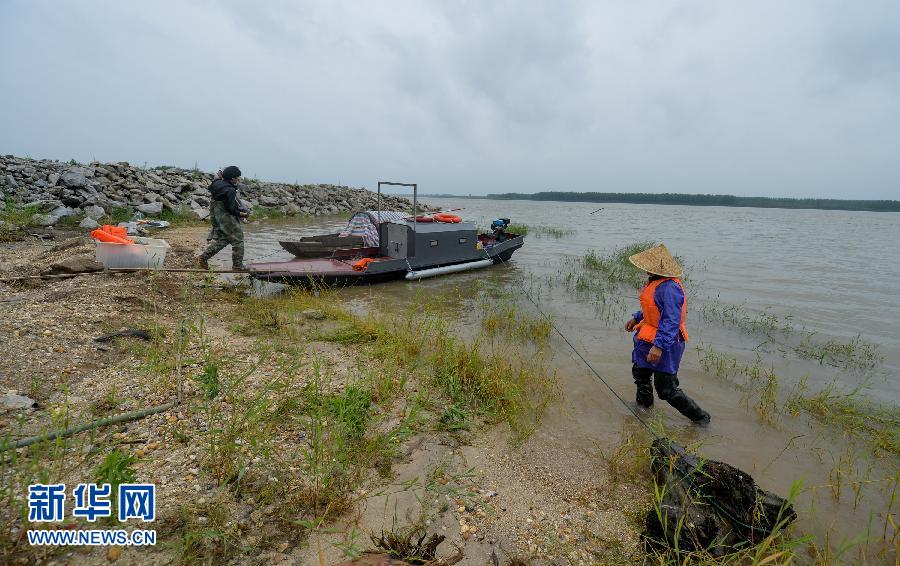 (长江客船翻沉事件)(3)湖南村民勇救“东方之星”落水者 (长江客船翻沉事件)(3)湖南村民勇救“东方之星”落水者
