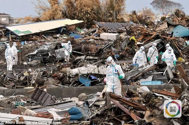 日本福岛疑似遭核污染后发生变异