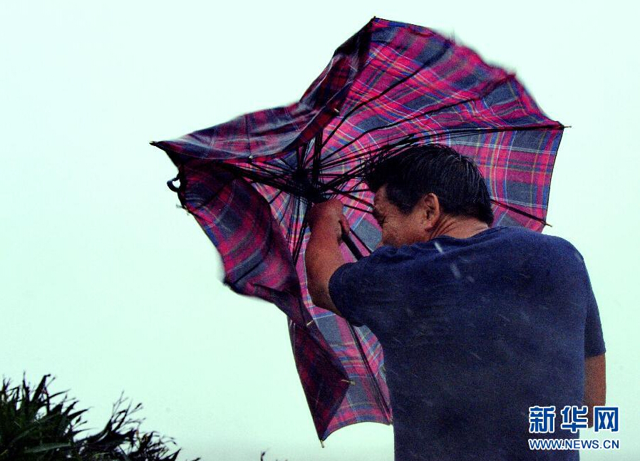 8月8日，福建省石狮市渔民在风雨中前行。