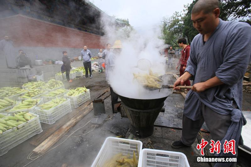 少林禅耕农场迎来秋收 免费煮玉米送游客