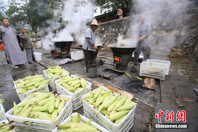 少林禅耕农场迎来秋收 免费煮玉米送游客