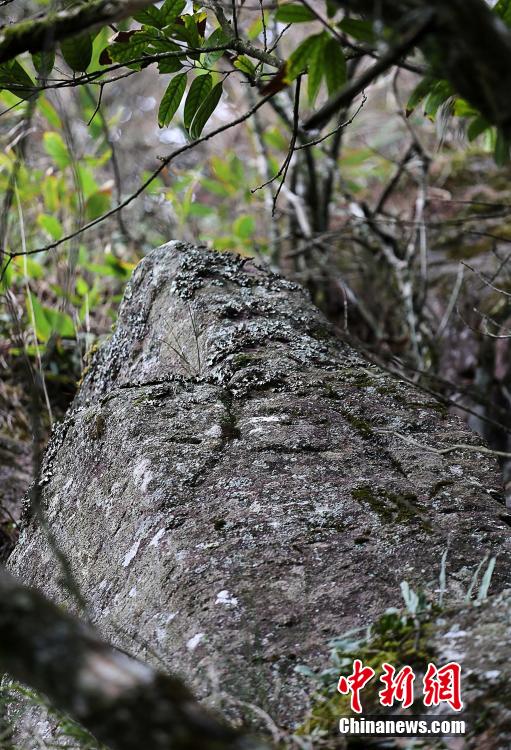 江西崖壁现特殊文字 疑似6000年前祭祀符号